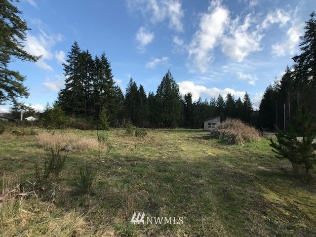 13251 West Cloquallum Road Elma, WA 98541 - Photo 3 of 6 Gallery Image 3