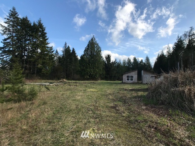13251 West Cloquallum Road Elma, WA 98541 - Photo 4 of 6 Gallery Image 4