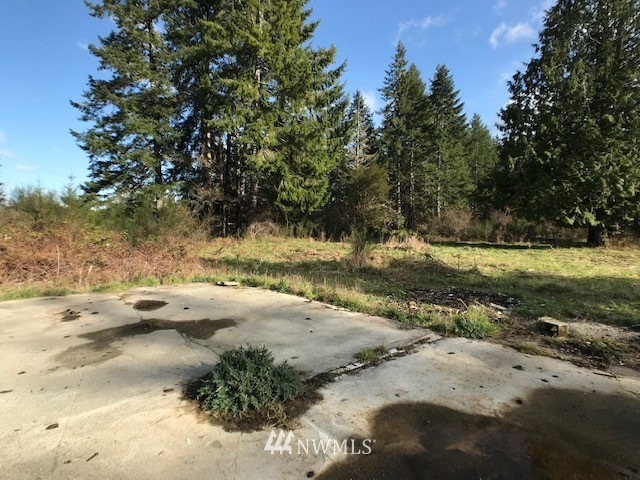 13251 West Cloquallum Road Elma, WA 98541 - Photo 6 of 6 Gallery Image 6