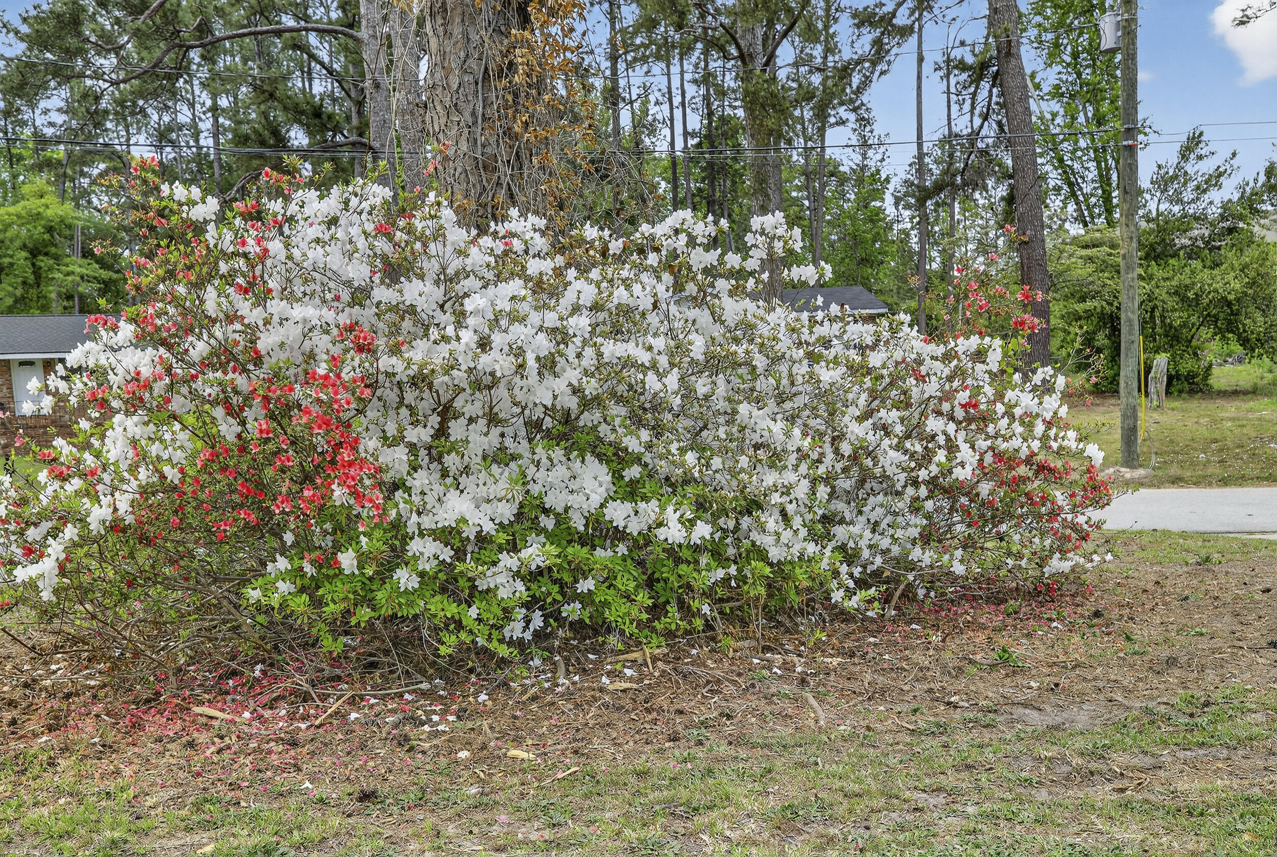 2002 Evergreen Drive Augusta, GA 30909 - Photo 11 of 42 20_r6ii1677