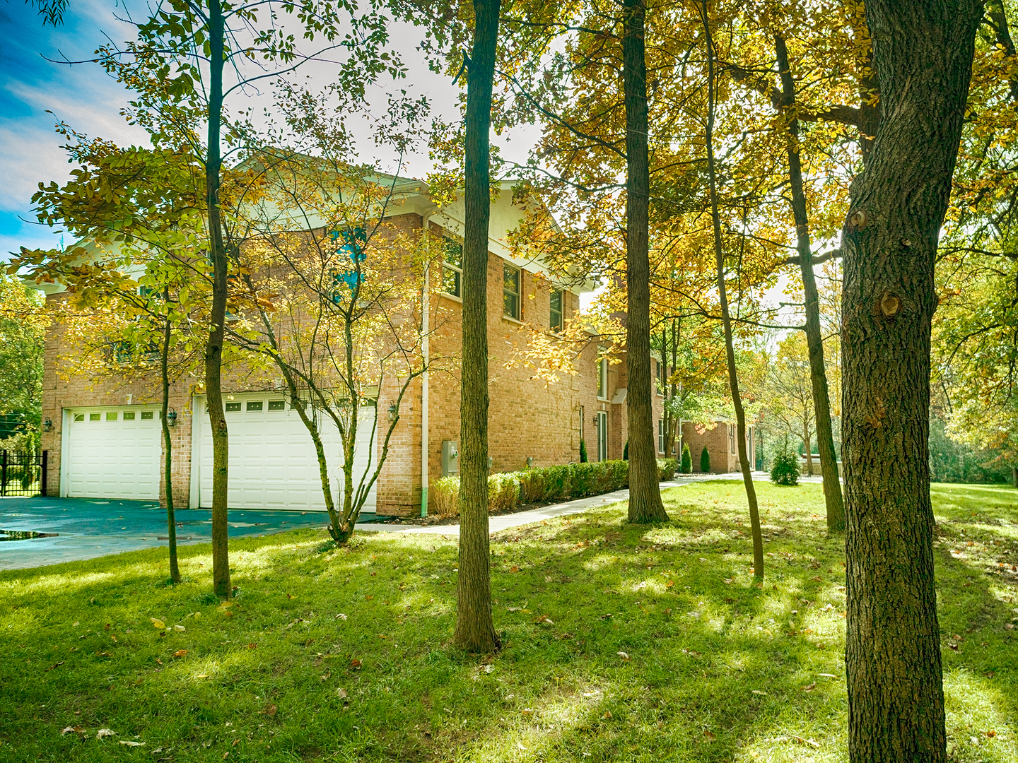 700 Timber Trail Riverwoods, IL 60015 - Photo 51 of 55 a view of yard