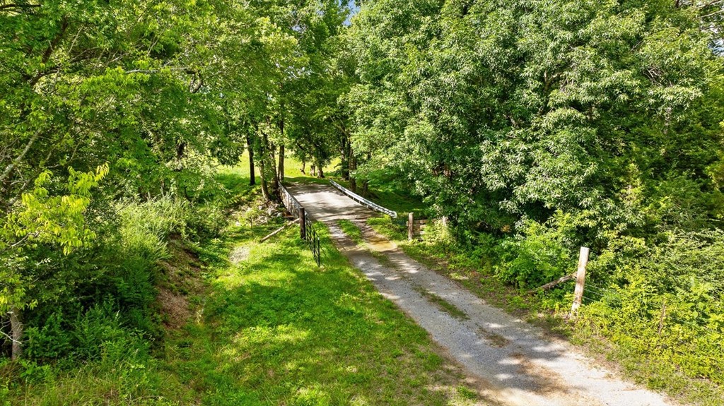 0 Tom Terry Road Chatsworth, GA 30705 - Photo 6 of 29