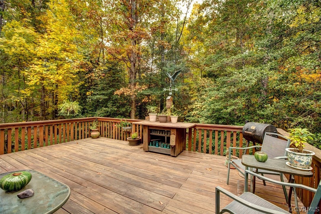 1310 Black Heath Road Midlothian, VA 23113 - Photo 13 of 24 Enjoy privacy and nature from your deck.