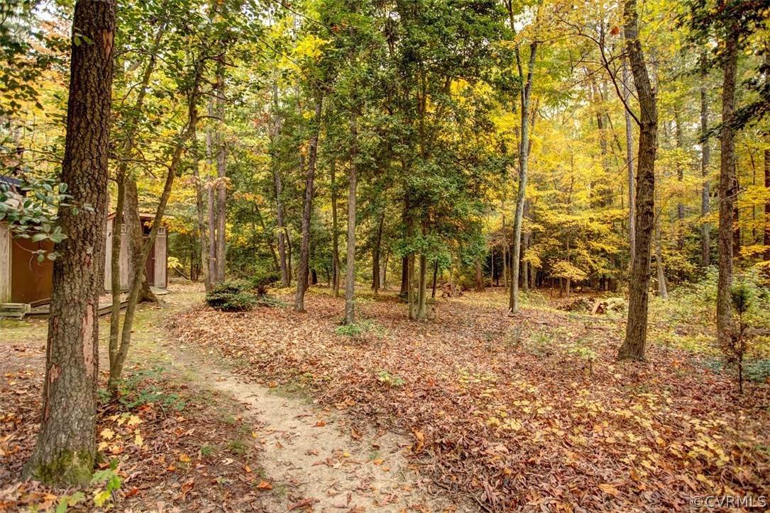 1310 Black Heath Road Midlothian, VA 23113 - Photo 22 of 24 Huge backyard had walking paths & a picnic area w/