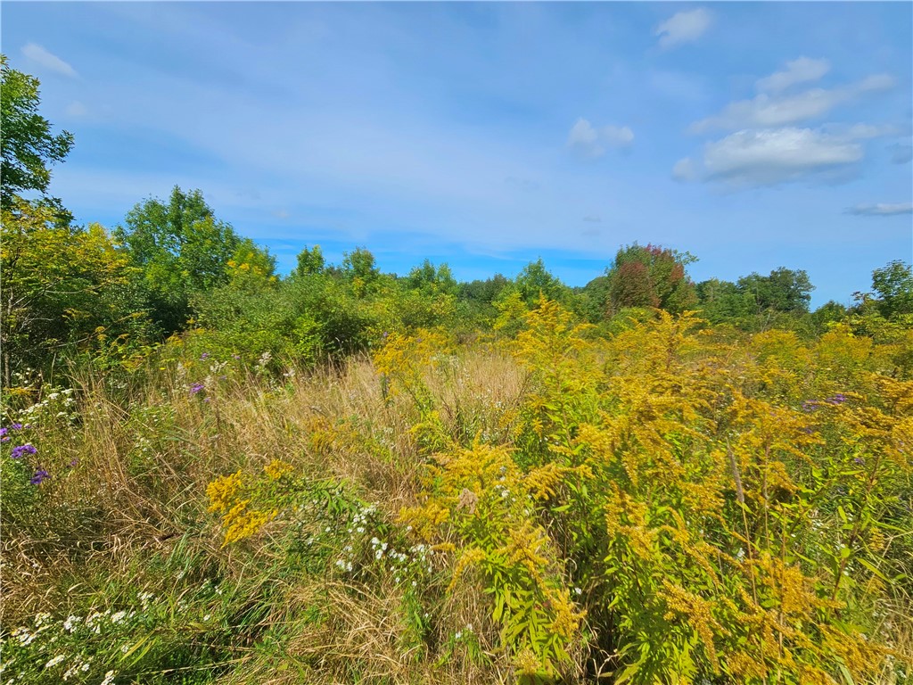 8237 Ford Road Pulteney, NY 14418 - Photo 14 of 48 Gallery Image 14