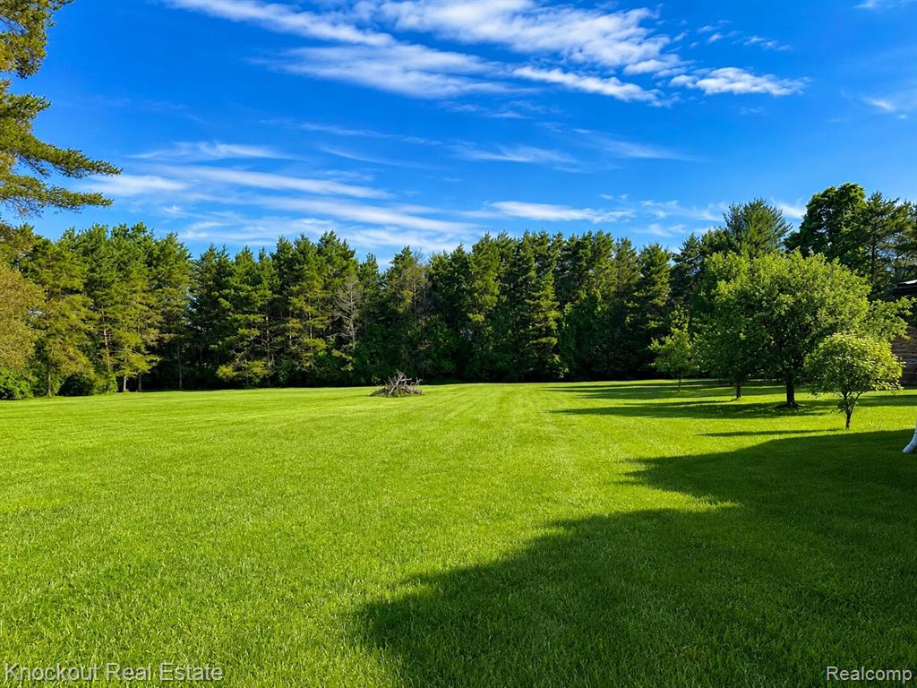9239 Lange Road Birch Run, MI 48415 - Photo 3 of 72