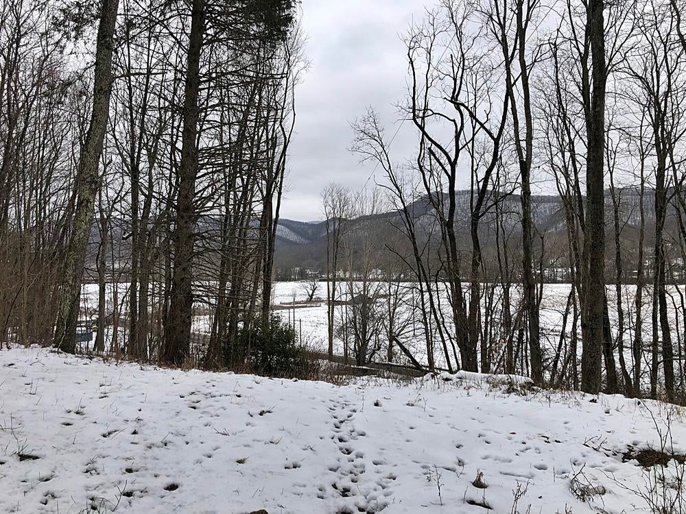 17536 Seneca Trail Huttonsville, WV 26273 - Photo 51 of 56 Gallery Image 51