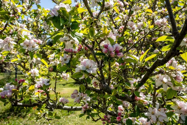 $2,295,000 | 40811 Eureka Hill Road, Point Arena, CA 95468