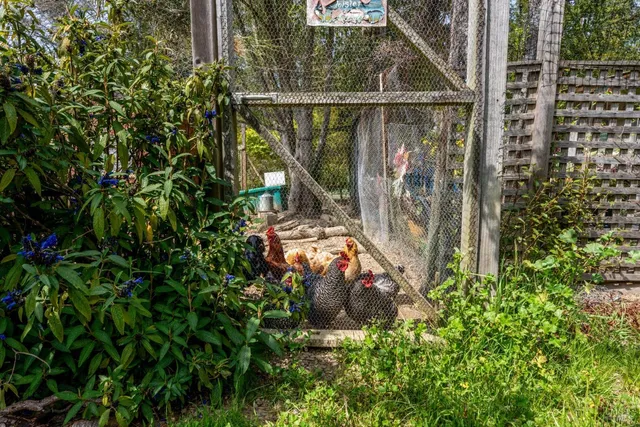 $2,295,000 | 40811 Eureka Hill Road, Point Arena, CA 95468