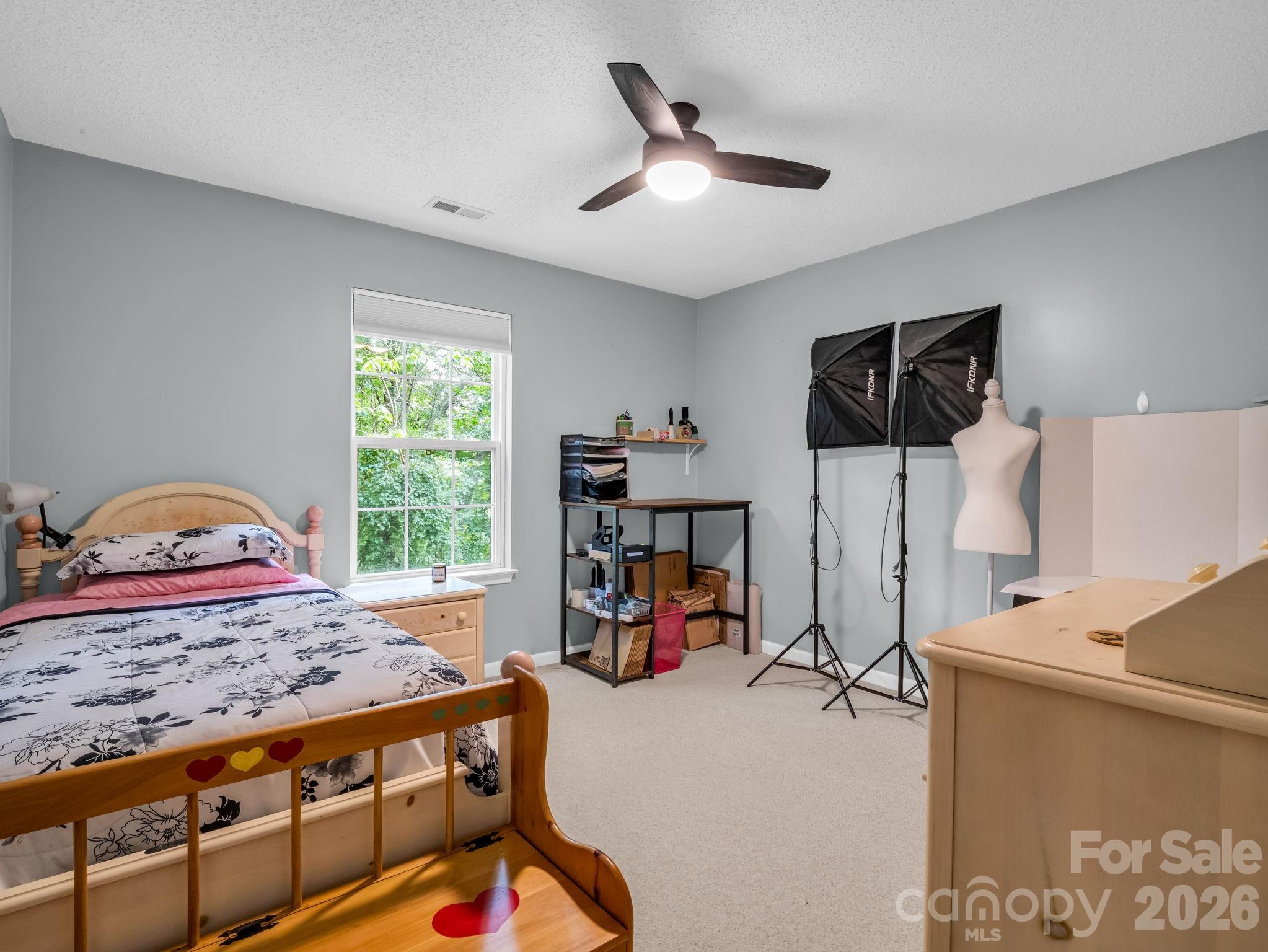 18 Buckle Ridge Weaverville, NC 28787 - Photo 19 of 48 Gallery Image 19