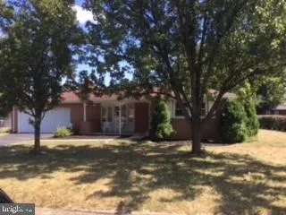 a view of a yard with a tree