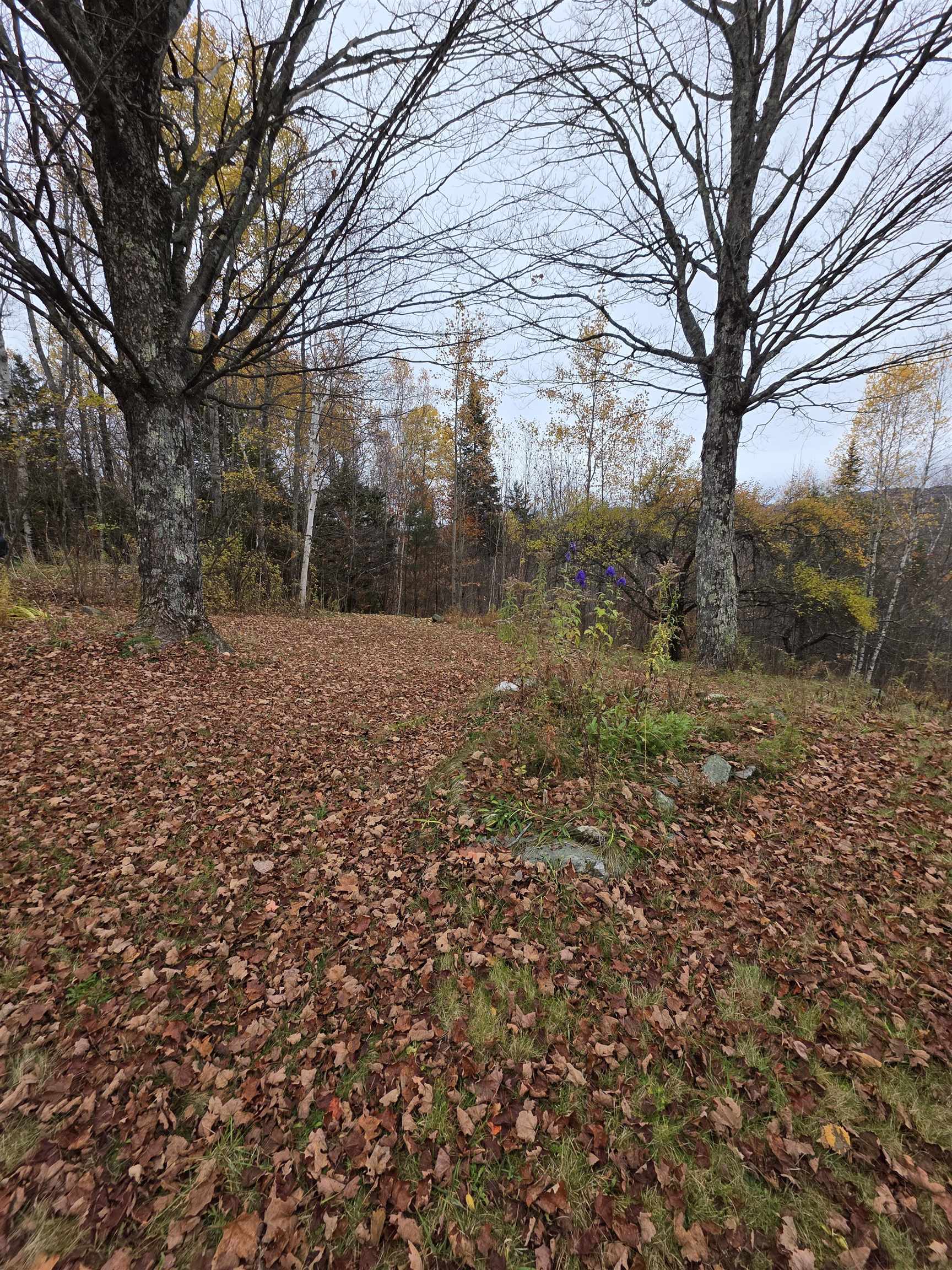 1846 Dartt Hill Road Bethel, VT 05032 - Photo 11 of 40