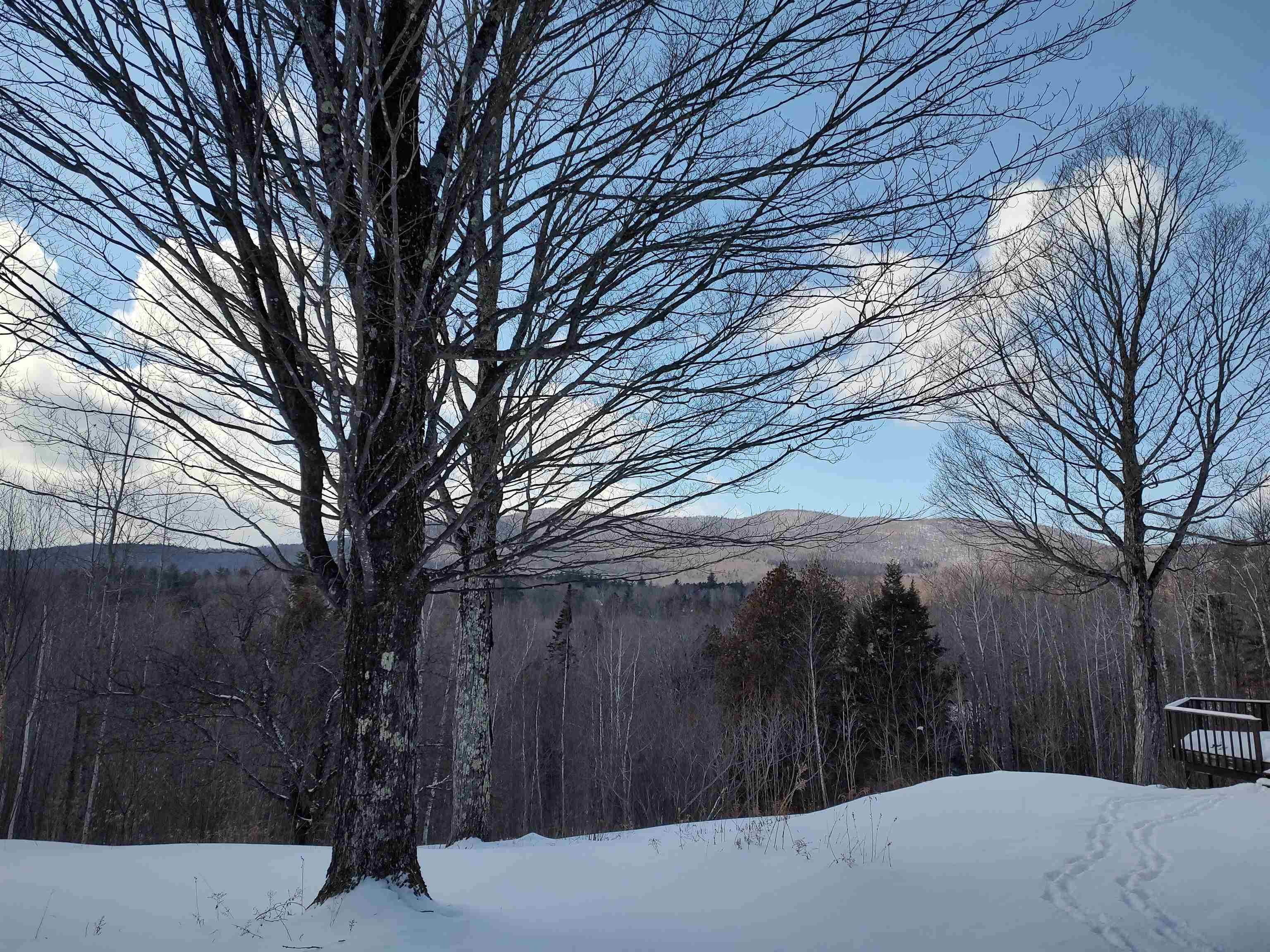 1846 Dartt Hill Road Bethel, VT 05032 - Photo 5 of 40