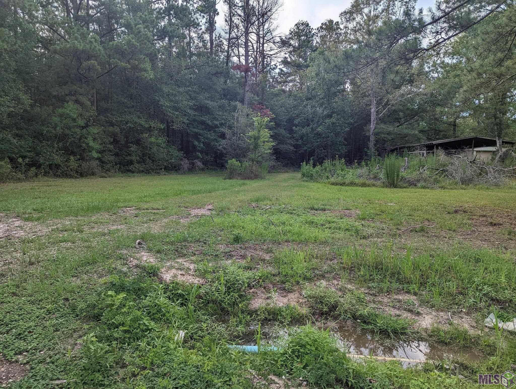 14681 Springfield Road Walker, LA 70785 - Photo 2 of 5