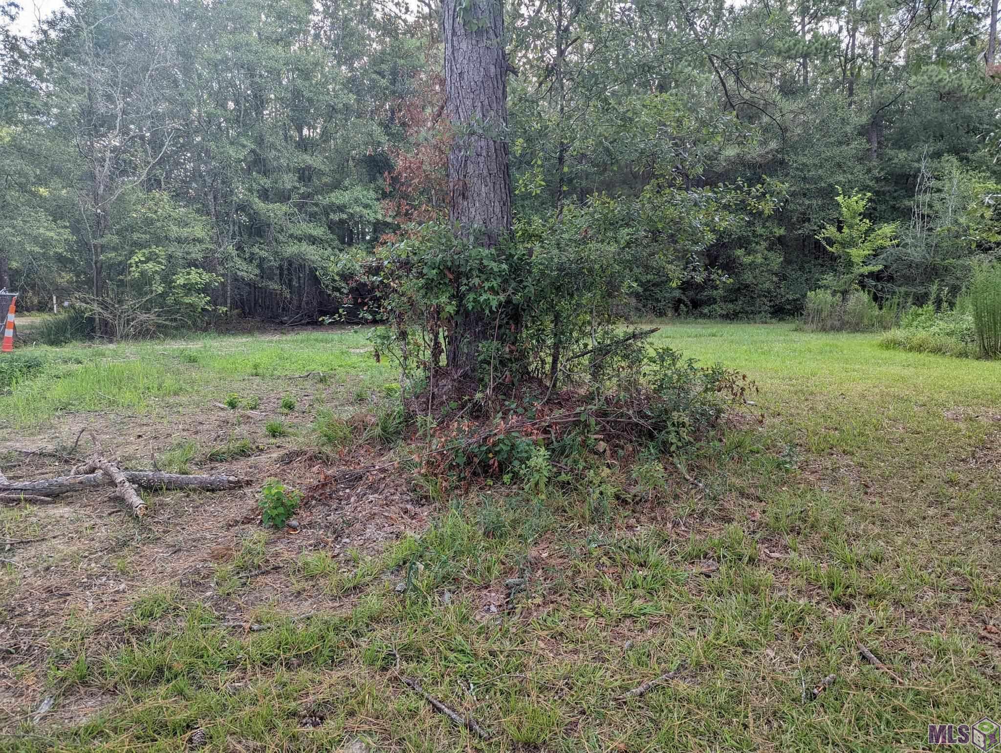 14681 Springfield Road Walker, LA 70785 - Photo 3 of 5