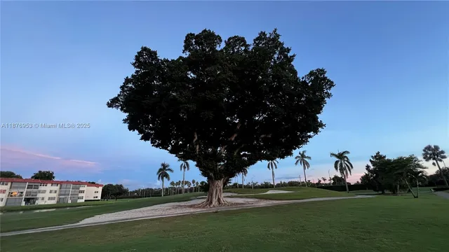 a view of a tree in front of a house with a big yard