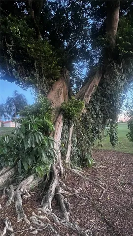 a backyard of a house with lots of green space