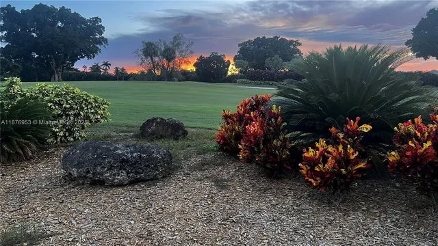 a view of a bunch of flowers and trees