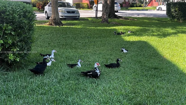 a view of a park with tree s