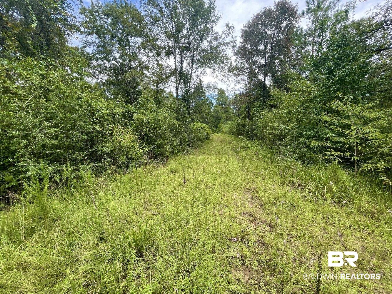 0 Albert Evans Road Wilmer, AL 36587 - Photo 9 of 14