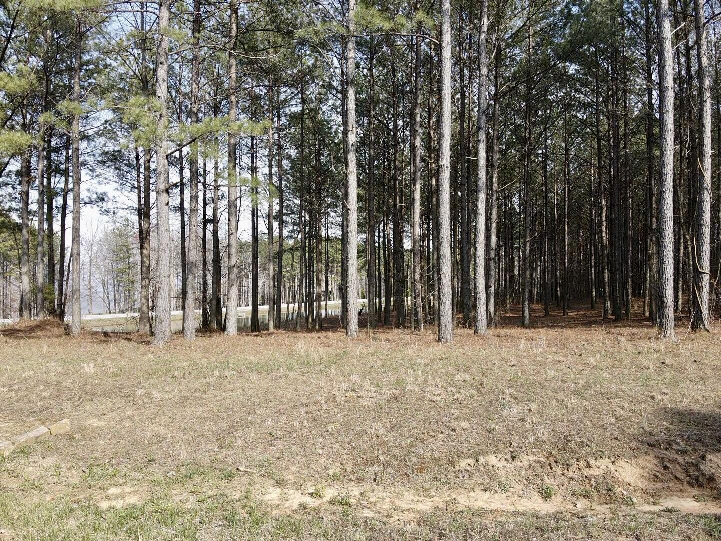 179 High Point Lane Jasper, TN 37347 - Photo 19 of 91 2024-03-21-15-54-20-540