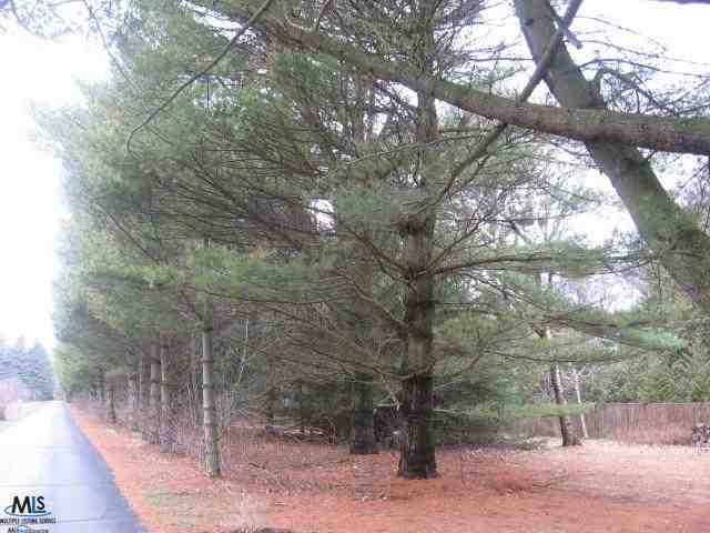 3891 Lakeshore Road Lexington, MI 48450 - Photo 24 of 24 31133973-25.JPG