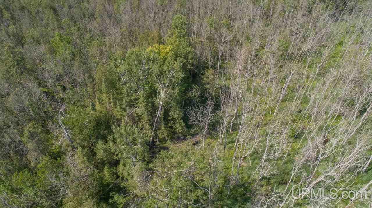 1 D-1 Road Wilson, MI 49896 - Photo 10 of 14