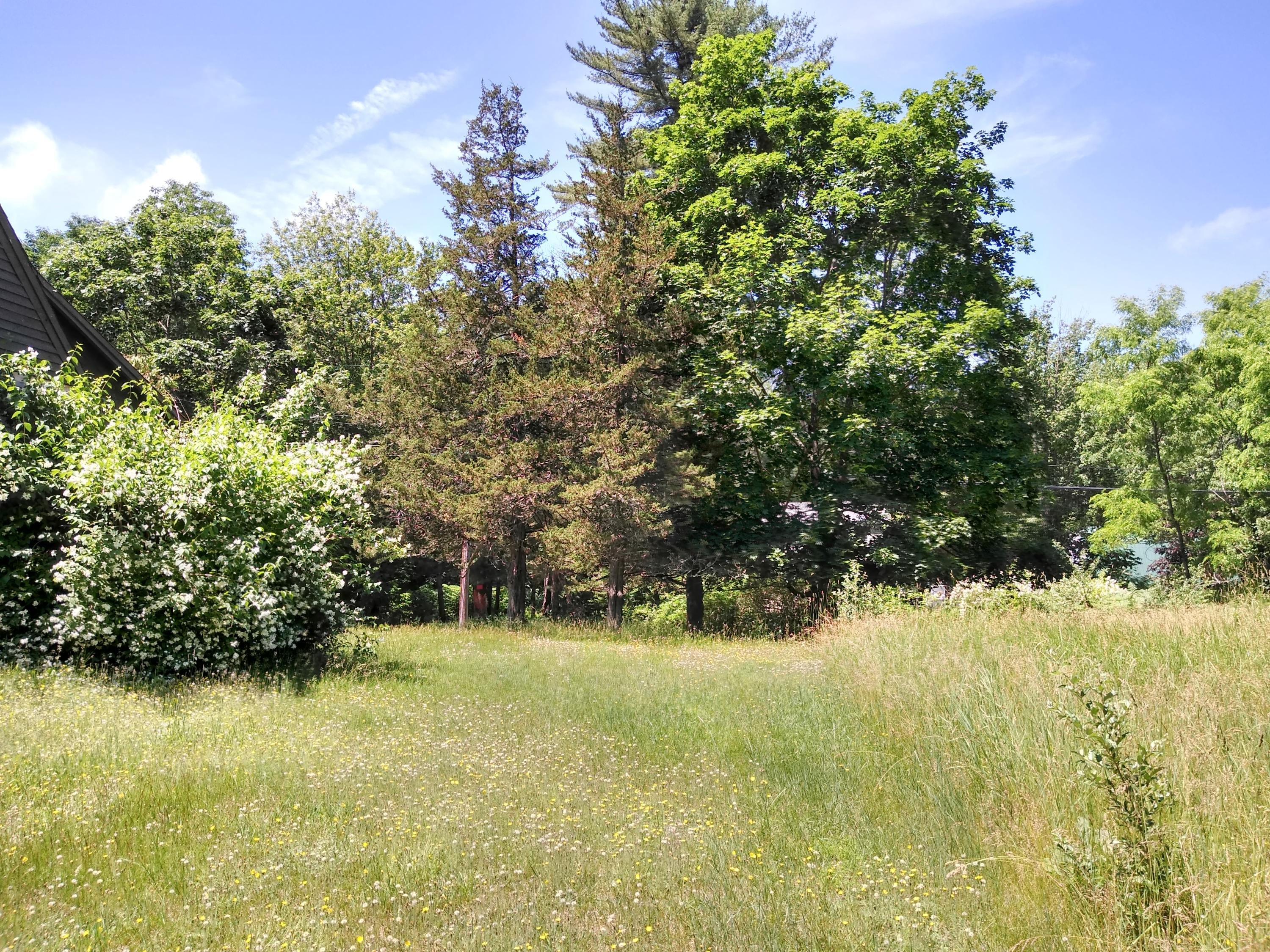1064 Maplewood Road West Newfield, ME 04095 - Photo 8 of 21 IMG_20190627_130731520_HDR