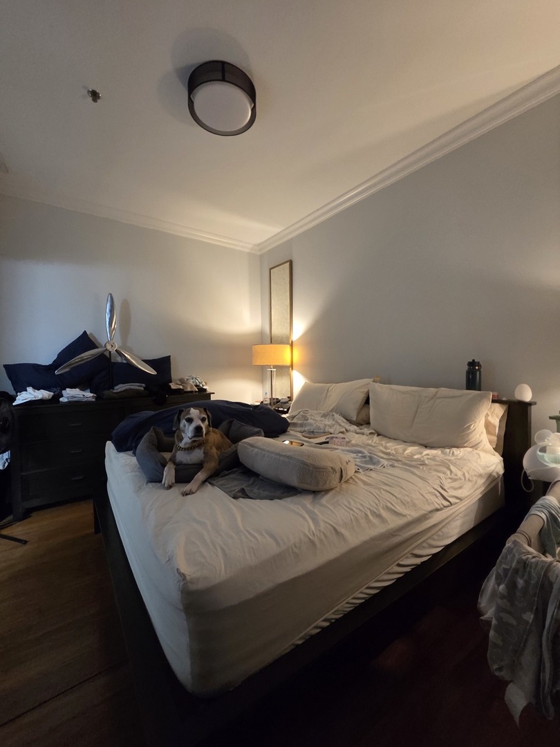 22 North Aberdeen Street, Unit 408 Chicago, IL 60607 - Photo 13 of 18