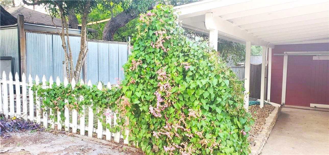 406 East Monroe Street, Unit A Austin, TX 78704 - Photo 6 of 35 a plant that is in front of a house