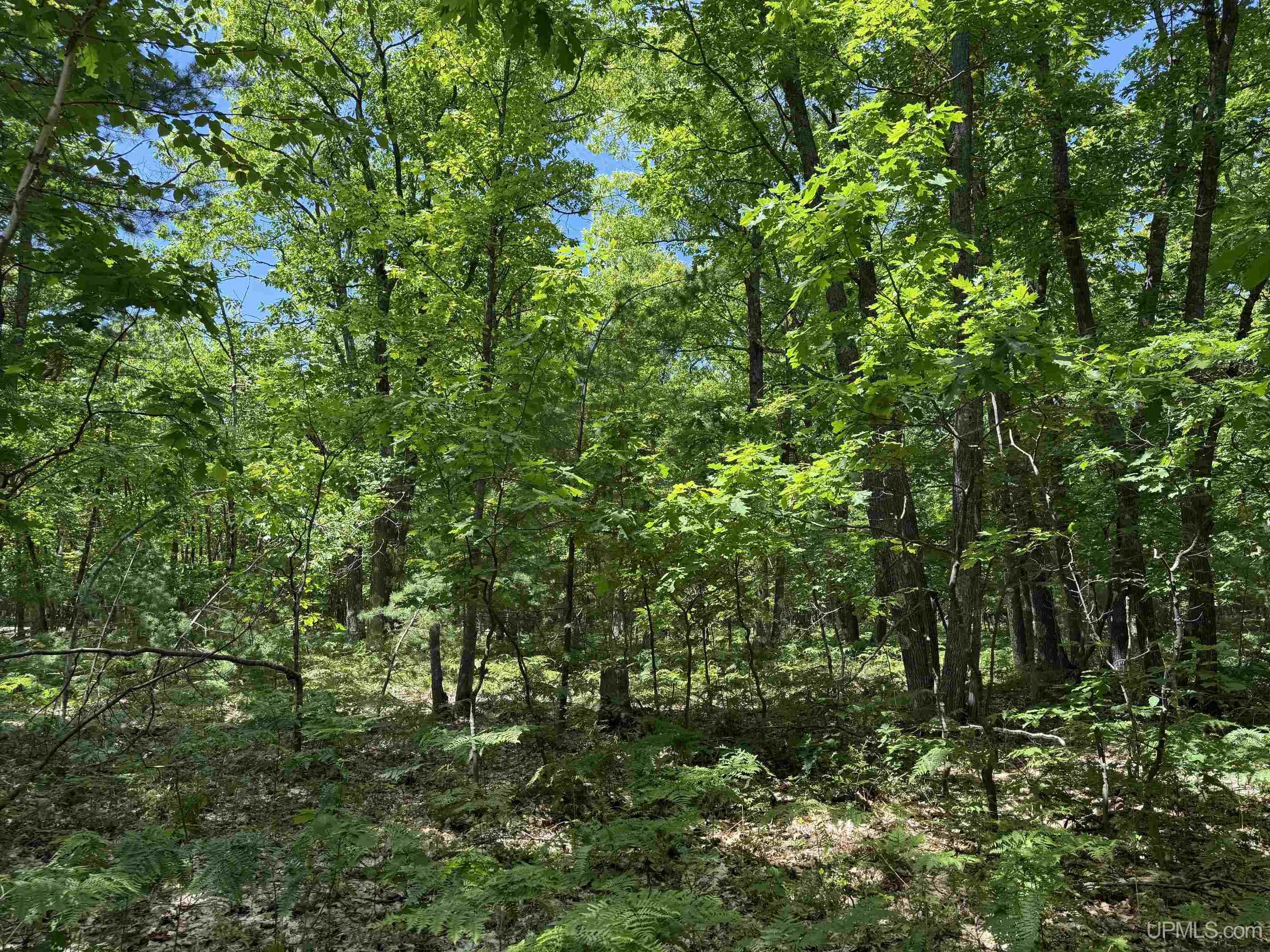 Tbd23 Senter Road Dollar Bay, MI 49922 - Photo 12 of 17