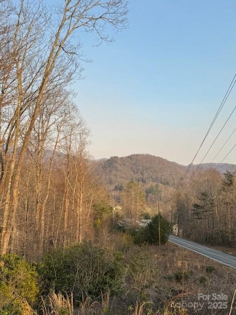 910 Morgan Hill Road Black Mountain, NC 28711 - Photo 2 of 4 a view of a dry yard with mountain and trees