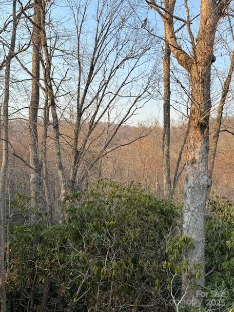910 Morgan Hill Road Black Mountain, NC 28711 - Photo 3 of 4 a view of a yard with plants and trees