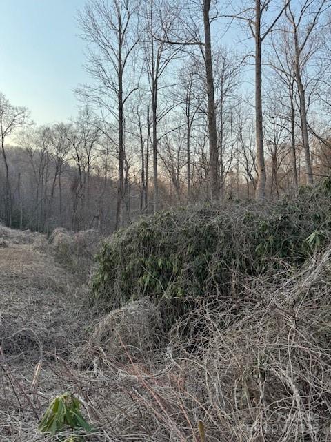 910 Morgan Hill Road Black Mountain, NC 28711 - Photo 4 of 4 a view of backyard with green space