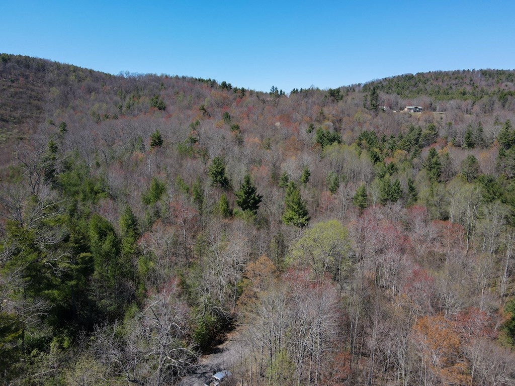 Reedsville Road Northwest Floyd, VA 24091 - Photo 10 of 31 Gallery Image 10