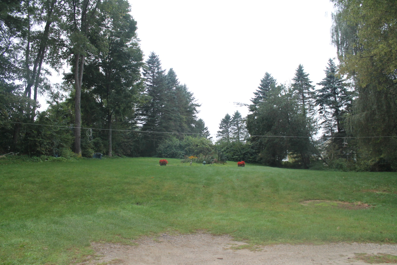 153 Old State Road Lanesborough, MA 01224 - Photo 4 of 19 Rear Yard leading to Pond