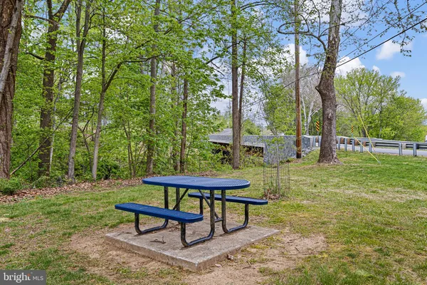 a view of a bench in a garden