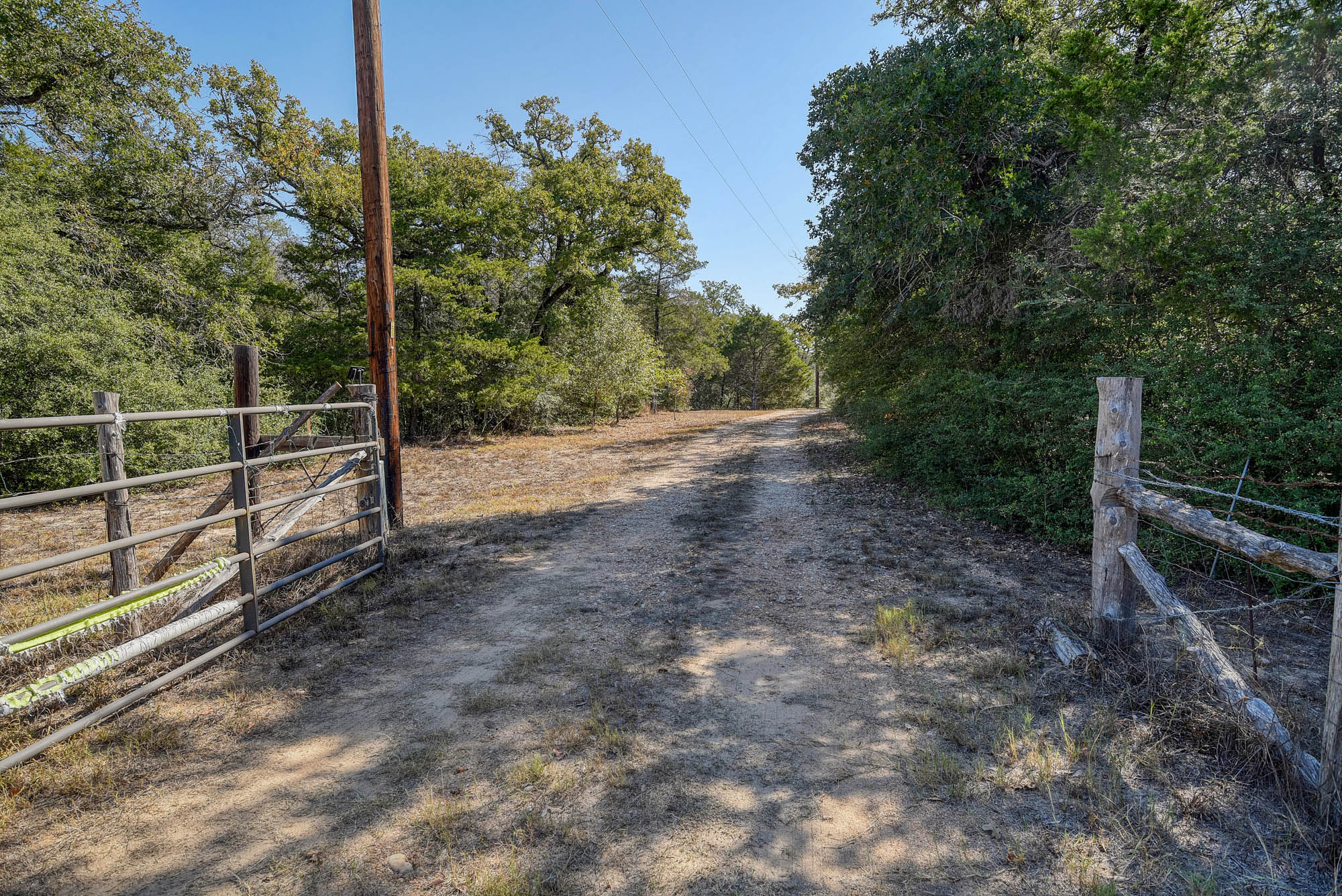 181 Lockwood Road Red Rock, TX 78662 - Photo 27 of 32 a view of a yard with large trees