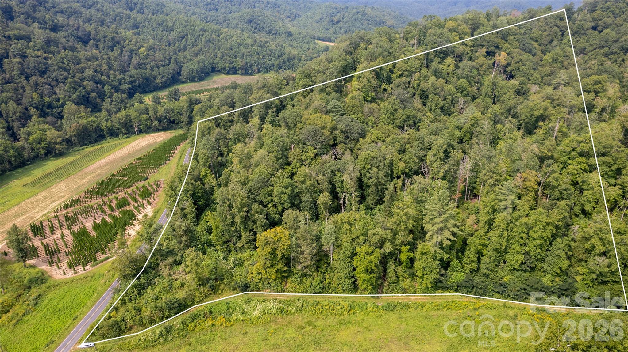Tbd Tbd Collettsville Road, Unit 4 Lenoir, NC 28645 - Photo 10 of 38 Gallery Image 10