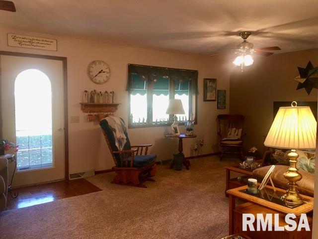 17318 River View Road Petersburg, IL 62675 - Photo 13 of 27 Gallery Image 13