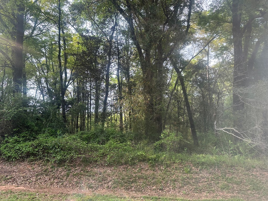 0 Choc Hills Road Dothan, AL 36303 - Photo 2 of 3