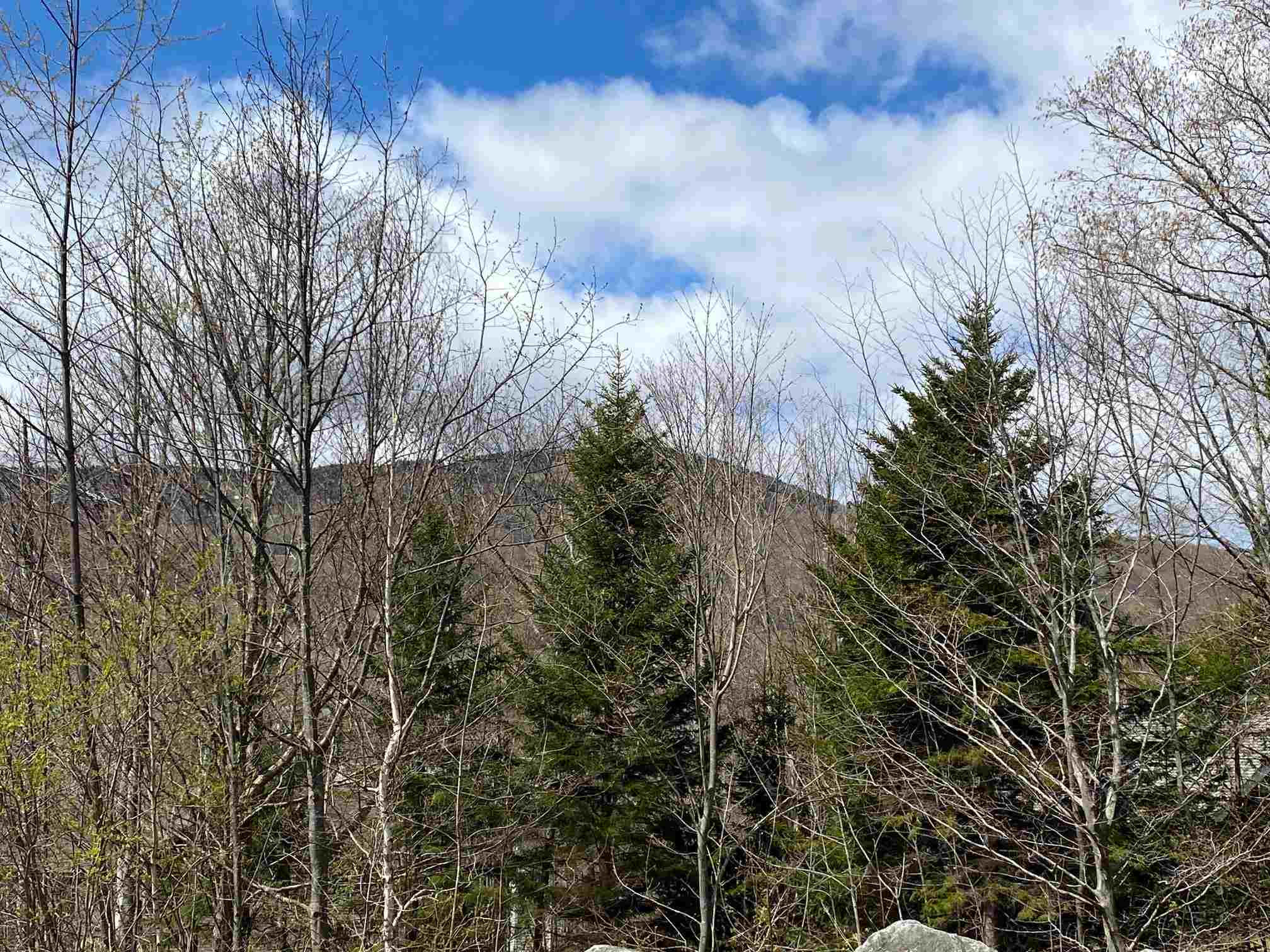 Lot A Lot A Pinnacle View Road West Dover, VT 05356 - Photo 2 of 4 Gallery Image 2