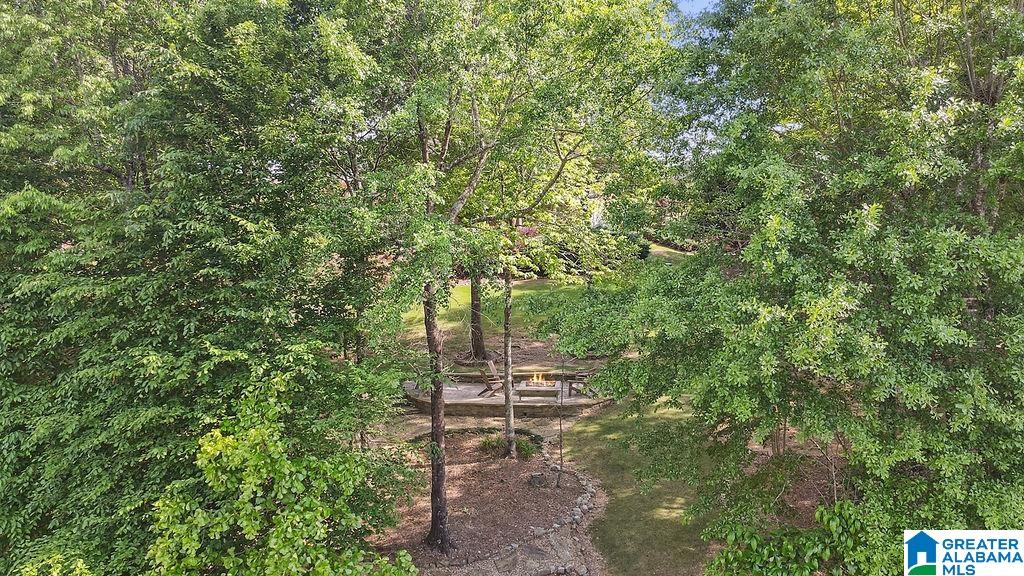 2059 Chelsea Rdg Drive Columbiana, AL 35051 - Photo 66 of 68