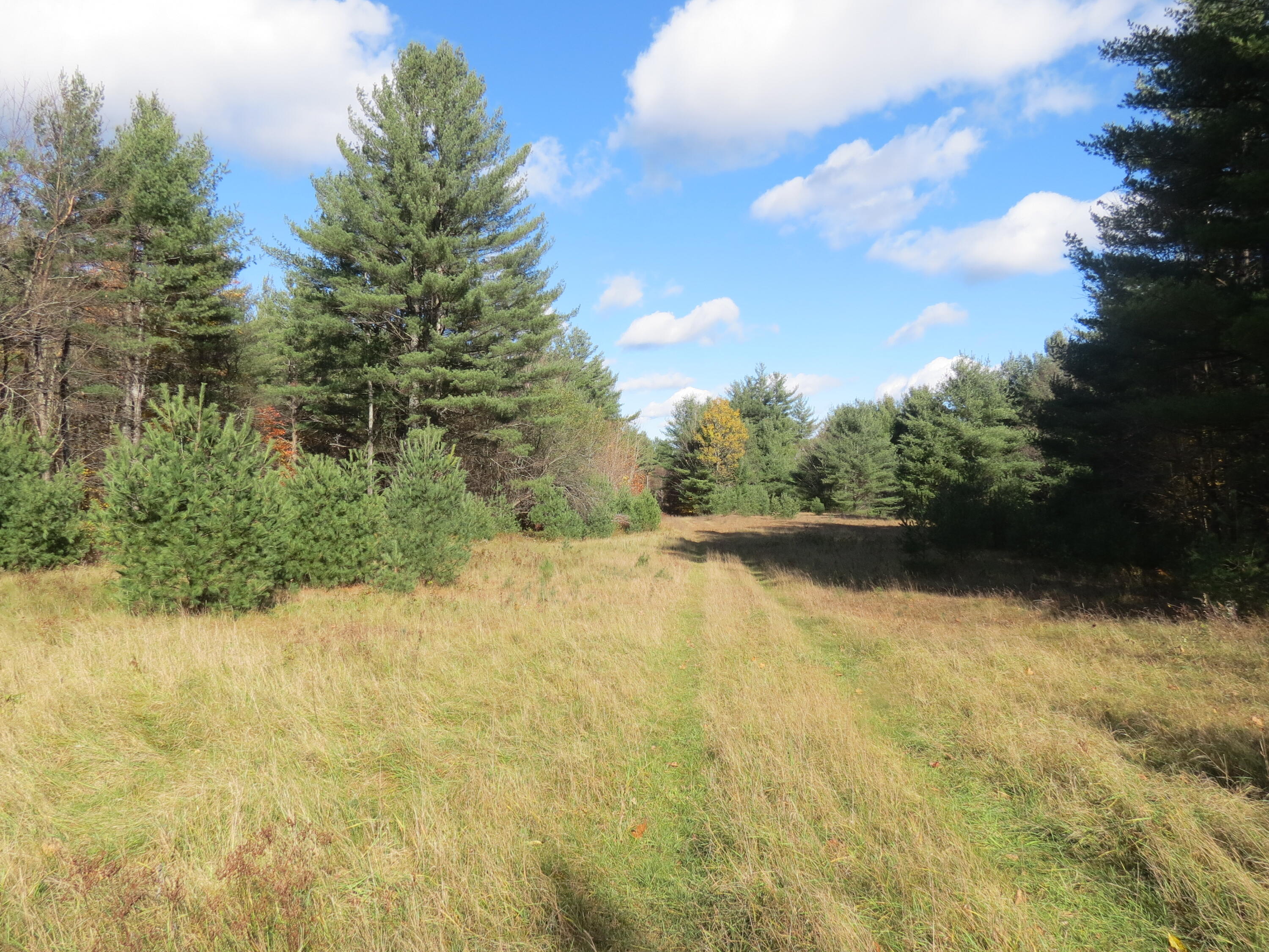 369 Upper Jay-Trumbulls Corners Road Jay, NY 12941 - Photo 2 of 9 IMG_8928