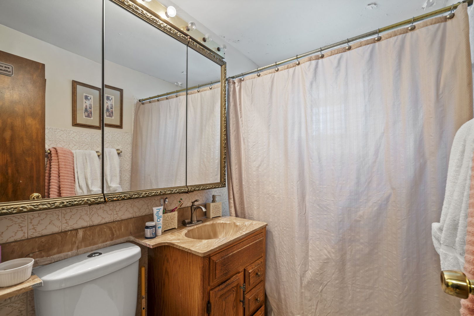 2419 Elm Street River Grove, IL 60171 - Photo 9 of 15 a bathroom with a sink a mirror and a toilet