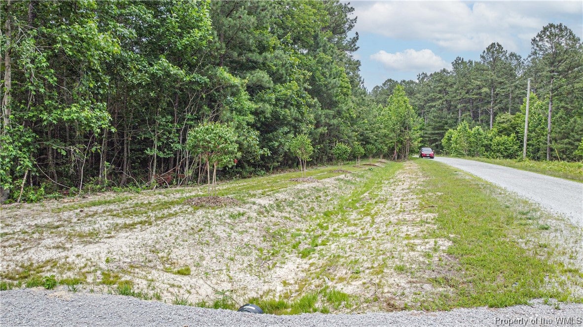 0 Spring Farm Road Dendron, VA 23839 - Photo 8 of 13 Gallery Image 8