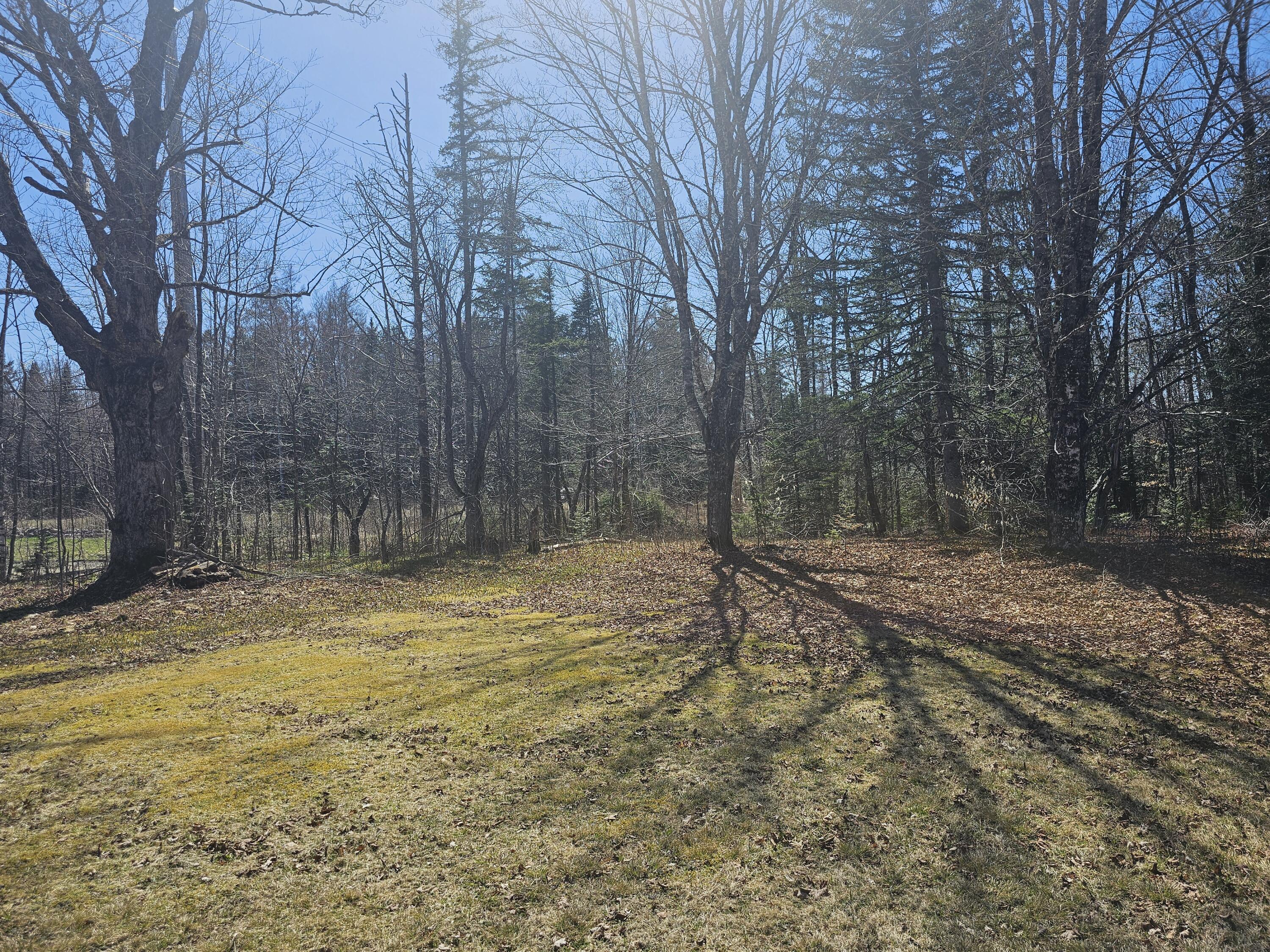 M13-l4 Pease Bridge Road Parkman, ME 04443 - Photo 5 of 16 20250501_143427