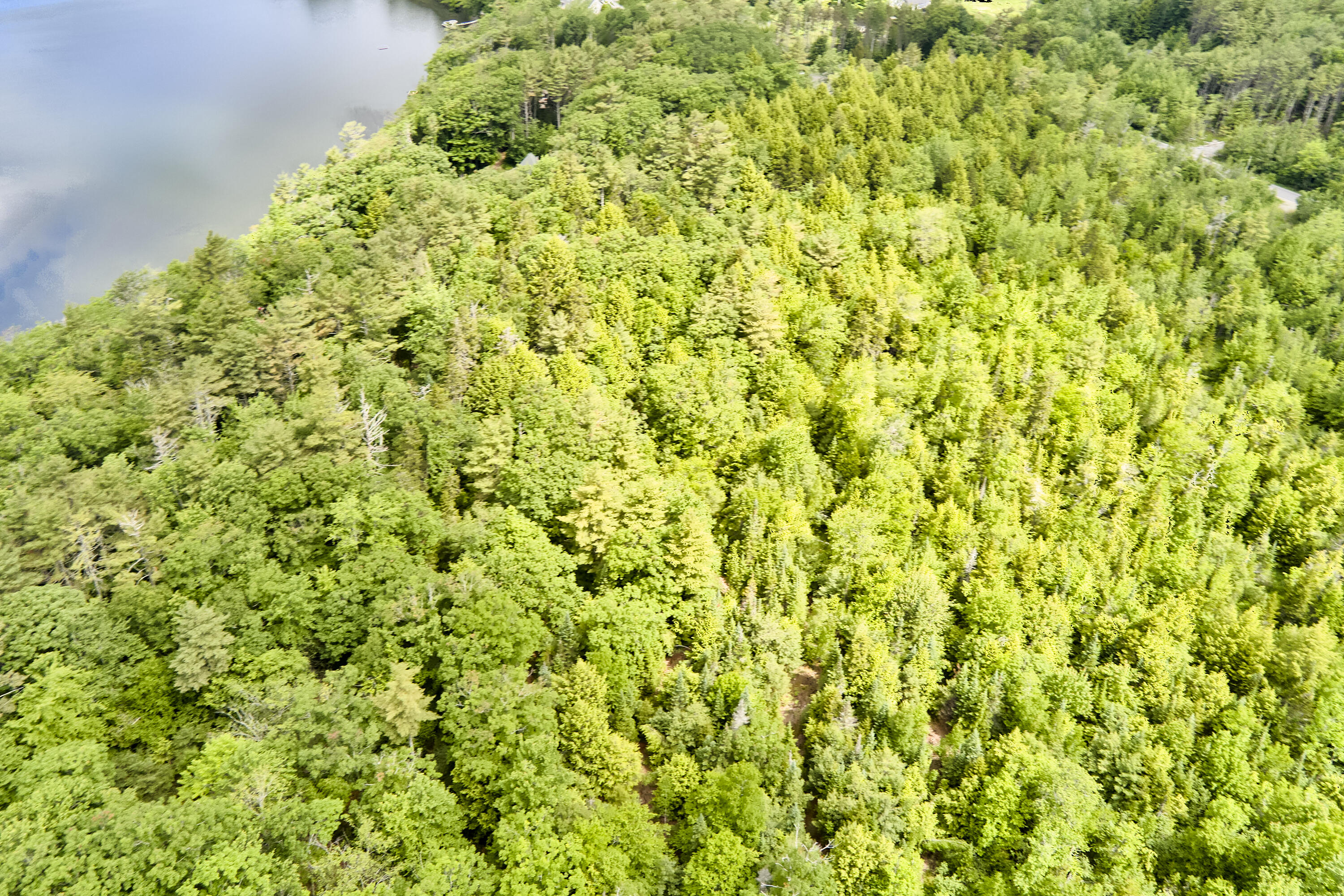 Lot 47 Loon Lane Hope, ME 04847 - Photo 14 of 22 15- 891 Barnestown Road - Hope - JAC