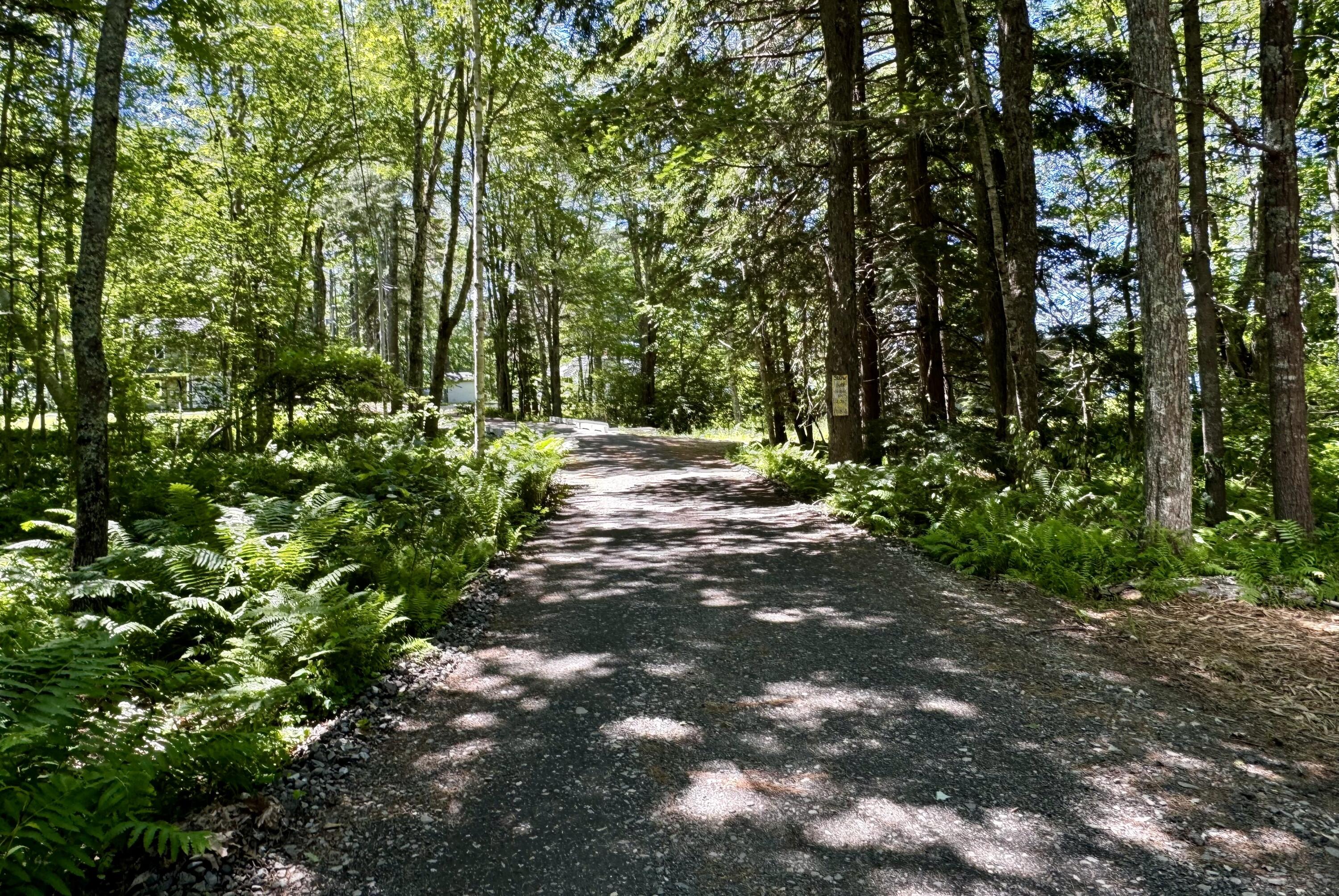 Lot 47 Loon Lane Hope, ME 04847 - Photo 4 of 22 Road Coming In