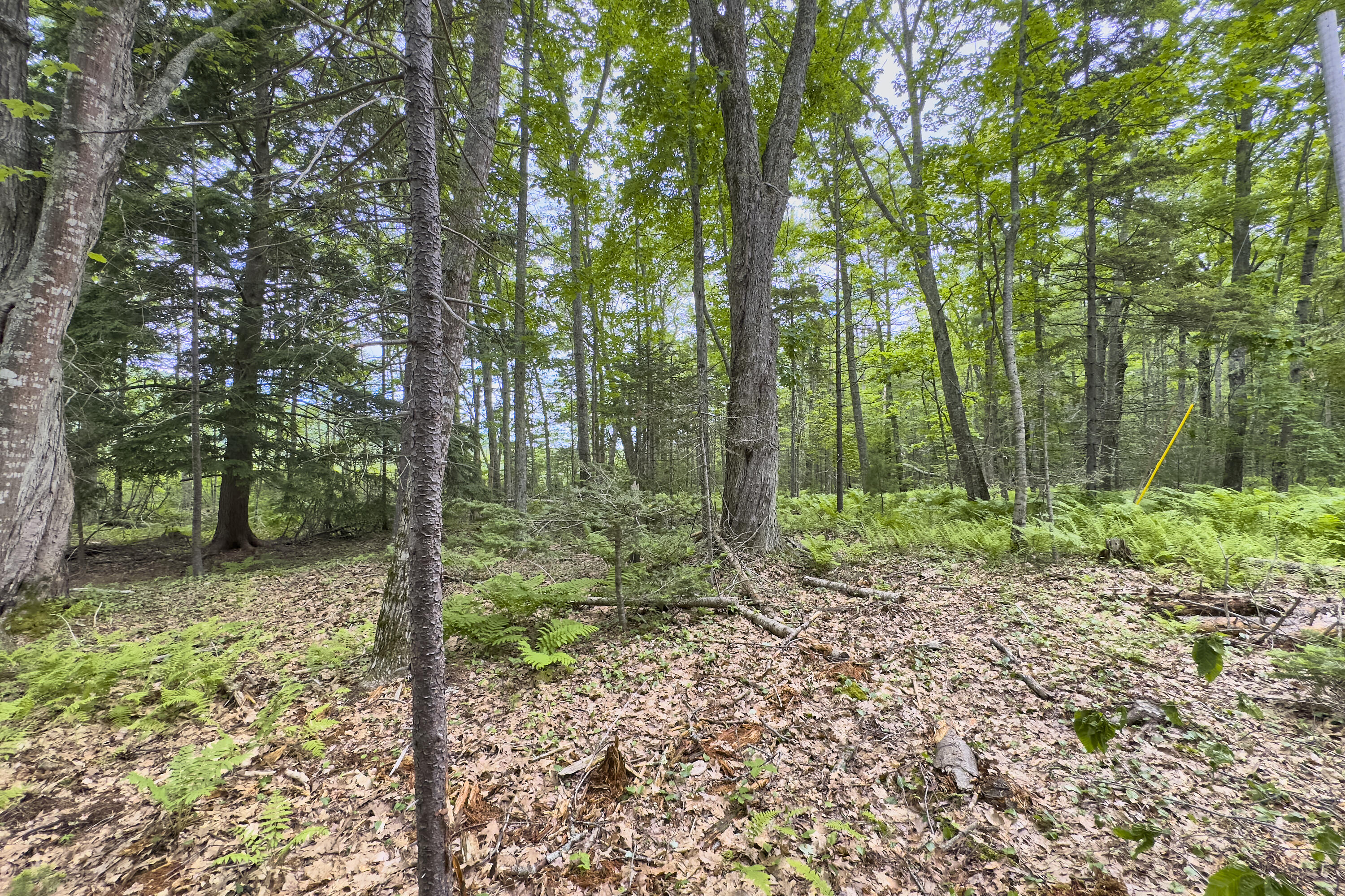Lot 47 Loon Lane Hope, ME 04847 - Photo 5 of 22 01- 891 Barnestown Road - Hope - JAC